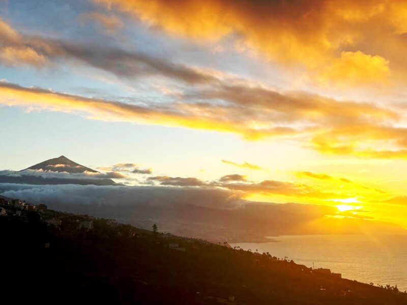 WhatsApp Image 2025-04-23 at 13.53.28 (4)