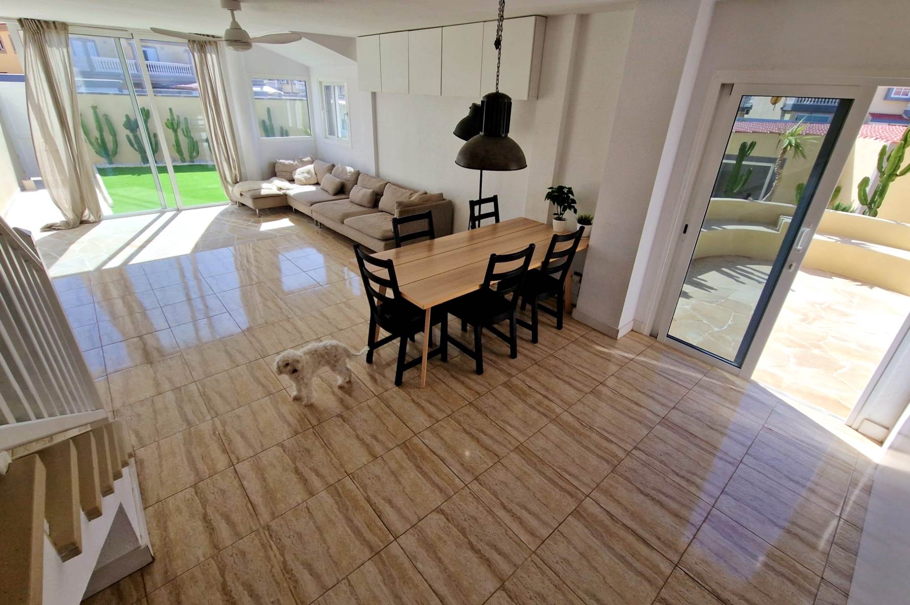 WhatsApp Image 2026-03-09 at 16.25.42 (7)