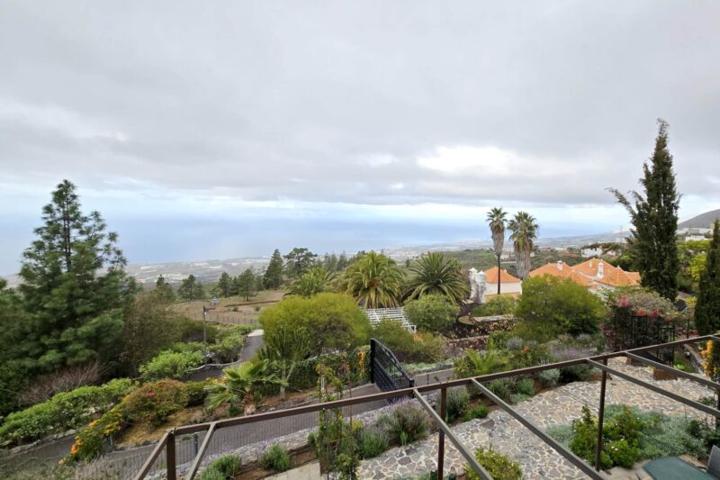 WhatsApp Image 2026-01-19 atlkj 11.18.31