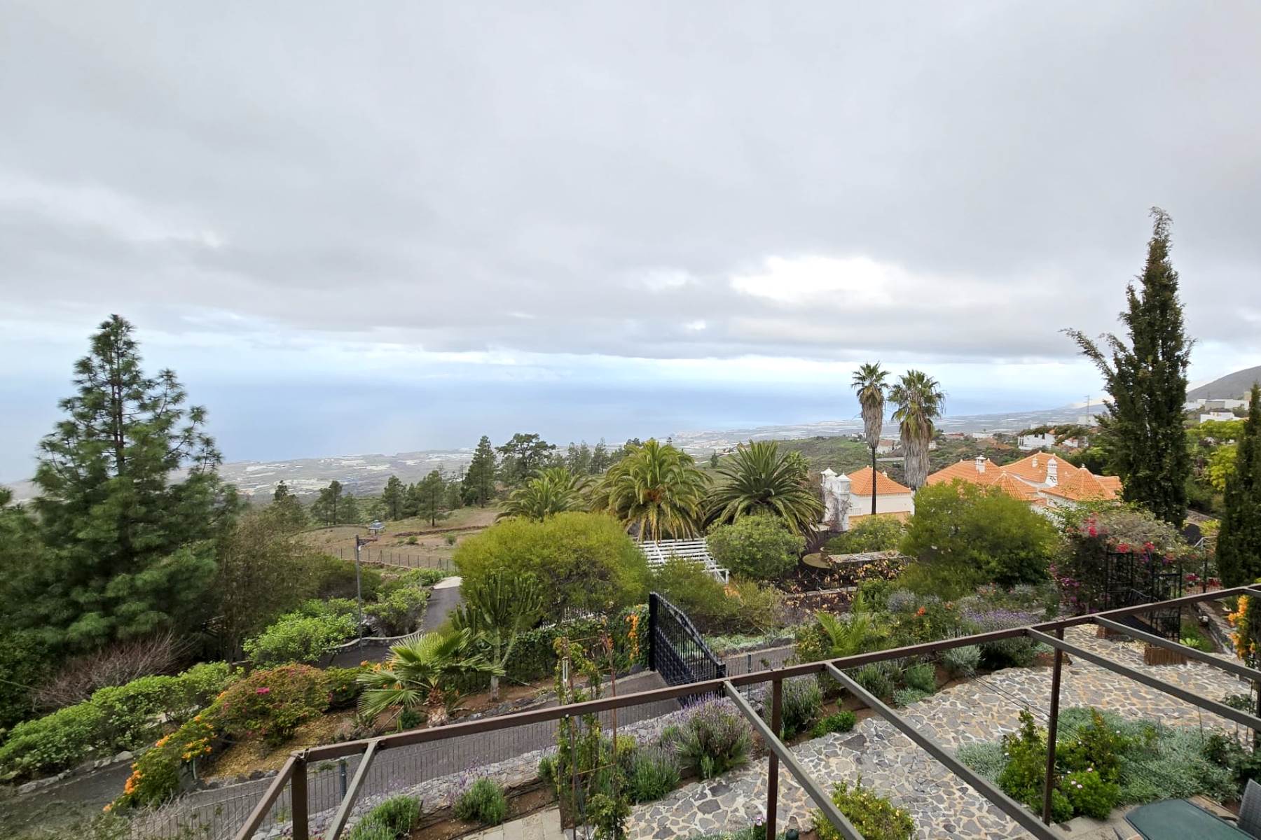 WhatsApp Image 2026-01-19 atlkj 11.18.31