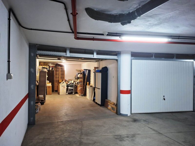 WhatsApp Image 2026-04-01 at 11.57.09