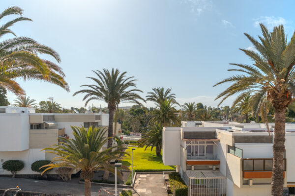 Apartment – Primavera